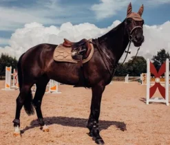 Bonnet anti-mouches - CHAMPAGNE Bonnets|Bonnet Cheval