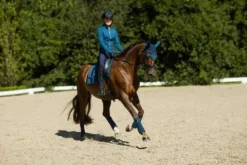 Hot Bonnet anti-mouches - No Boundaries Monaco Blue Bonnets|Bonnet Cheval