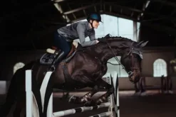 Best Bonnet anti-mouches - No Boundaries Silver Cloud Bonnets|Bonnet Cheval