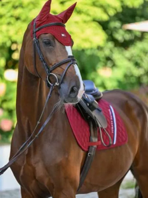 Sale Bonnet anti-mouches Lexington - - Crochet Bonnets|Bonnet Cheval