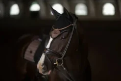 Online Bonnet anti-mouches Sportive Mocha - Bonnets|Bonnet Cheval