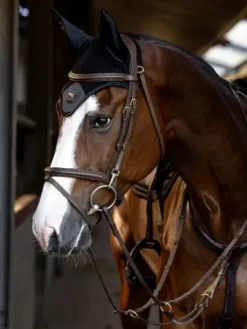 Best Bonnet anti-mouches Sportive Black - Bonnets|Bonnet Cheval