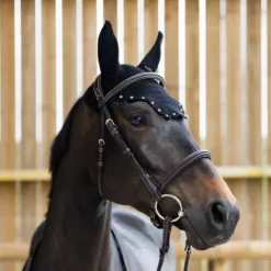 Clearance Bonnet Balthazar - Jump'In - Noir Bonnets|Bonnet Cheval