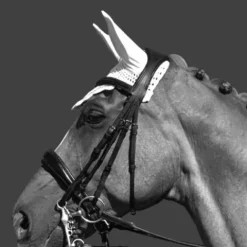 Sale Bonnet cheval Bonnets|Bonnet Cheval