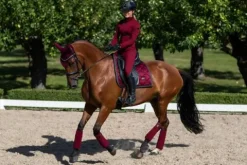 Online Bonnet Dark - Bonnets|Bonnet Cheval