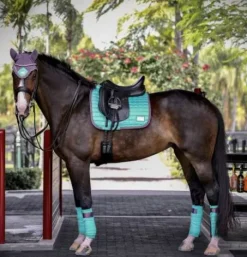 Hot Bonnet Frosty Mint turquoise - Bonnets|Bonnet Cheval