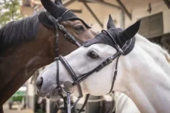 Outlet Bonnet Pro Coton Bonnets|Bonnet Cheval