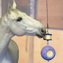 Online Boredom Breaker double support - Aménagement De L'Écurie·Jouets Pour Chevaux