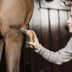 Bouchon dur - Kentucky Bouchons De Pansage