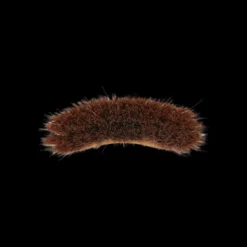 Bouchon moyen medium - Kentucky Bouchons De Pansage