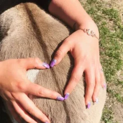 Hot Bracelet fer à cheval - Bijoux