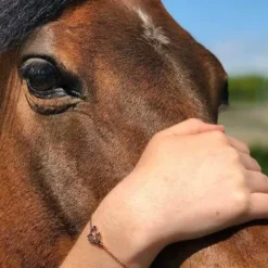 Discount Bracelet tête de cheval - Bijoux