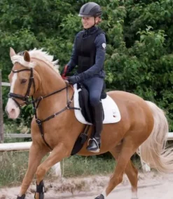 Outlet Bricole avec rênes sécurité Secutrust Enrênements·Bricole