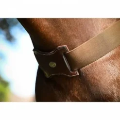 Sale Bricole élastique - Collection Week - Enrênements·Bricole