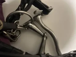 Discount Bride complète poney Bridons Et Brides·Bride De Dressage|Brides De Dressage