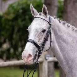 New Bride Courchevel - Collection One - Bridons Et Brides·Bride De Dressage|Brides De Dressage