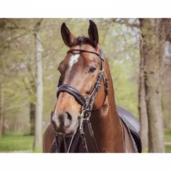 New Bride Courchevel - Collection One - Bridons Et Brides·Bride De Dressage|Brides De Dressage