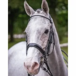 New Bride Courchevel - Collection One - Bridons Et Brides·Bride De Dressage|Brides De Dressage