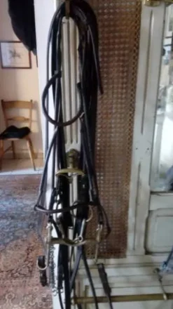 ide cuir rond Bridons Et Brides·Bride De Dressage|Brides De Dressage