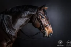 Discount Bride de dressage - Bridons Et Brides·Bride De Dressage|Brides De Dressage