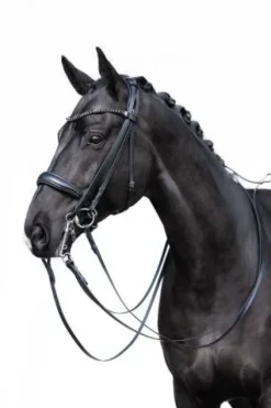 Discount Bride de dressage Grace - - Cuir avec strass Bridons Et Brides·Bride De Dressage|Brides De Dressage