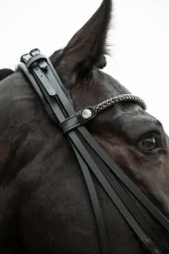 Discount Bride de dressage Grace - - Cuir avec strass Bridons Et Brides·Bride De Dressage|Brides De Dressage