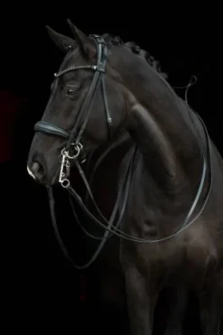 Discount Bride de dressage Grace - - Cuir avec strass Bridons Et Brides·Bride De Dressage|Brides De Dressage