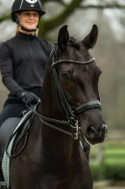 Discount Bride de dressage Grace - - Cuir avec strass Bridons Et Brides·Bride De Dressage|Brides De Dressage