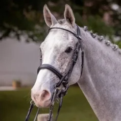 Clearance Bride de dressage vernie - Collection week - Bridons Et Brides·Bride De Dressage|Brides De Dressage