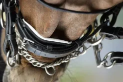 Best Bride de dressage Weymouth Bridons Et Brides·Bride De Dressage|Brides De Dressage