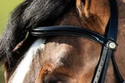 Best Bride de dressage Weymouth Bridons Et Brides·Bride De Dressage|Brides De Dressage