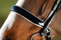 Best Bride de dressage Weymouth Bridons Et Brides·Bride De Dressage|Brides De Dressage