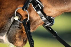 Best Bride de dressage Weymouth Bridons Et Brides·Bride De Dressage|Brides De Dressage