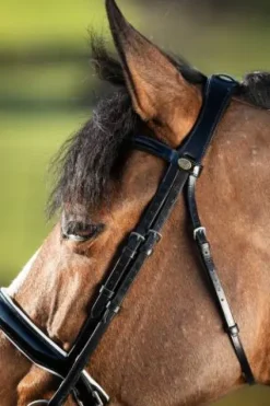 Best Bride de dressage Weymouth Bridons Et Brides·Bride De Dressage|Brides De Dressage