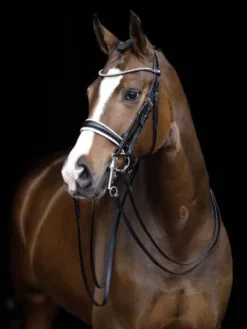 Bride dina noir cheval Bridons Et Brides·Bride De Dressage|Brides De Dressage