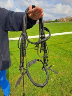 Bride dressage noire FS Bridons Et Brides·Bride De Dressage|Brides De Dressage