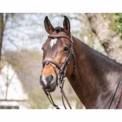 Clearance Bride Megève - Collection One - Jump'in Bridons Et Brides·Bride De Dressage|Brides De Dressage