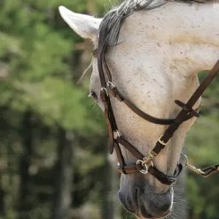 Clearance Bride sans mors Side pull Bridons Et Brides·Filet Sans Mors