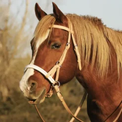 Clearance Bride sans mors Side pull Bridons Et Brides·Filet Sans Mors