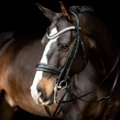 Discount Bride Silvano - Bridons Et Brides·Bride De Dressage|Brides De Dressage