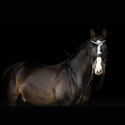 Discount Bride Silvano - Bridons Et Brides·Bride De Dressage|Brides De Dressage