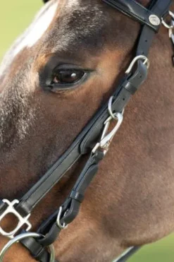 New Bridon - Licol Combo Bridons Et Brides·Bridon Licol|Bridons Et Brides·Bridon Cuir