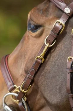 New Bridon - Licol Combo Bridons Et Brides·Bridon Licol|Bridons Et Brides·Bridon Cuir