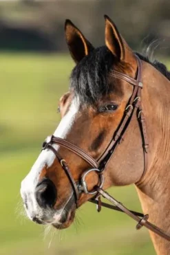 New Bridon Anatomic Bridons Et Brides·Bridon Anatomique|Bridons Et Brides·Bridon Cuir