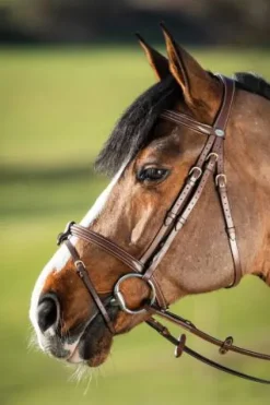 New Bridon Anatomic Bridons Et Brides·Bridon Anatomique|Bridons Et Brides·Bridon Cuir