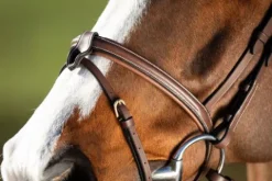 New Bridon Anatomic Bridons Et Brides·Bridon Anatomique|Bridons Et Brides·Bridon Cuir