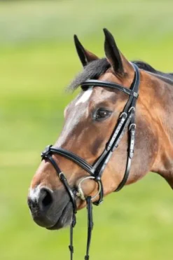 Hot Bridon Anatomic muserolle combinée Bridons Et Brides·Bridon Anatomique|Bridons Et Brides·Bridon Cuir
