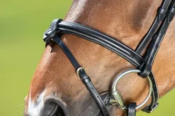 Hot Bridon Anatomic muserolle combinée Bridons Et Brides·Bridon Anatomique|Bridons Et Brides·Bridon Cuir
