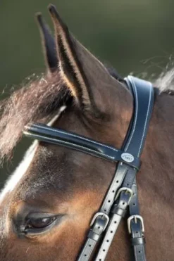Hot Bridon Anatomic muserolle combinée Bridons Et Brides·Bridon Anatomique|Bridons Et Brides·Bridon Cuir