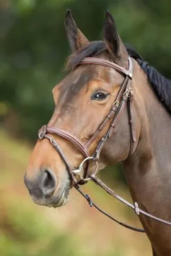 Hot Bridon Anatomic muserolle combinée Bridons Et Brides·Bridon Anatomique|Bridons Et Brides·Bridon Cuir